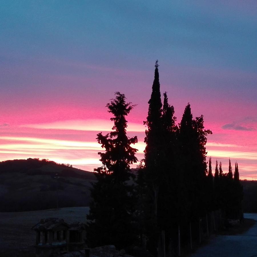 Agriturismo Casalpiano Пиенца Экстерьер фото